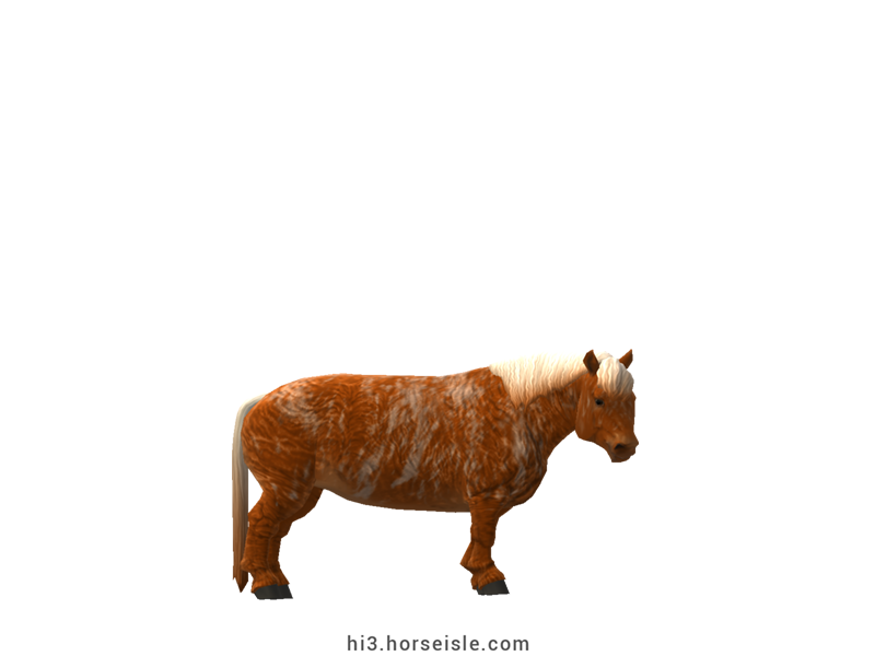 Cow-pony Highland Flaxen Brindle Red Chestnut Coat